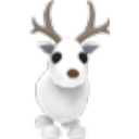 Arctic Reindeer
